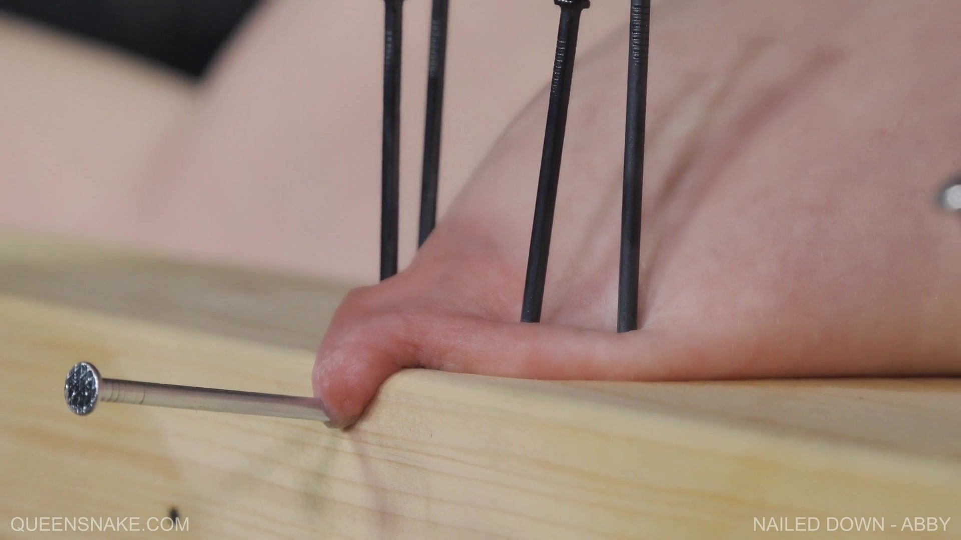 QUEENSNAKE Nailed Down - Abby - Abby, QS