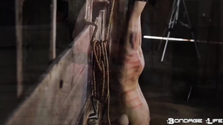 BondageLife	Rachel Greyhound - BrutalMaster Inverted Whipping