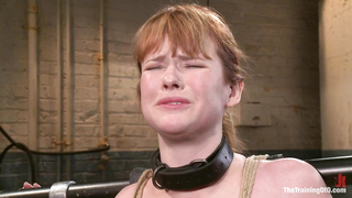 TheTrainingOfO - Claire Robbins