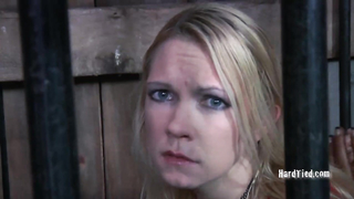 HARDTIED - ﻿Rain DeGrey Barn Whore