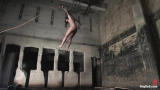 HOGTIED - Dana Deamond