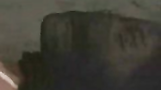 INSEX - The Student 1 (S1)