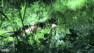 INFERNAL RESTRAINTS - Scarlett Mae - Hitchhiker's guide to the Grave